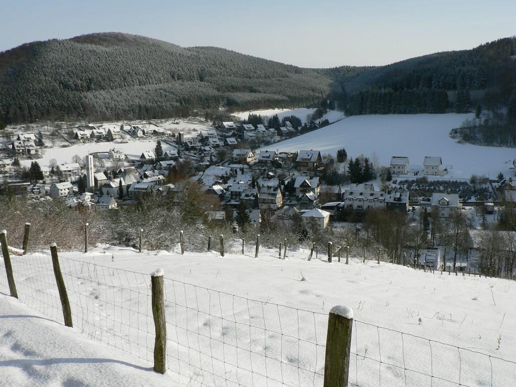 Landhaus Silberberg Winterberg Esterno foto